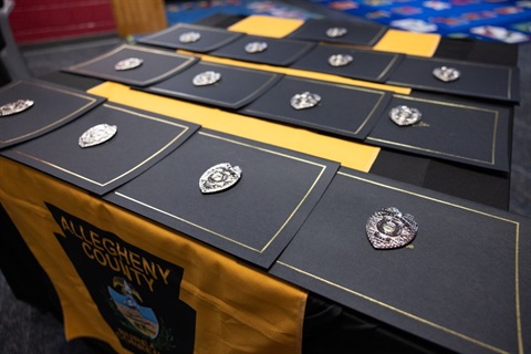 Cadet-Badges-on-display