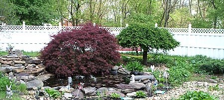 Strolling Garden