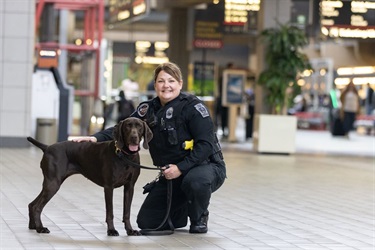 K-9 Unit