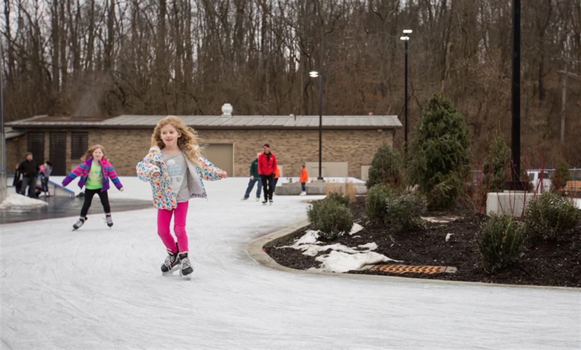 Springfield Rink Pa South Park - Allegheny County, PA