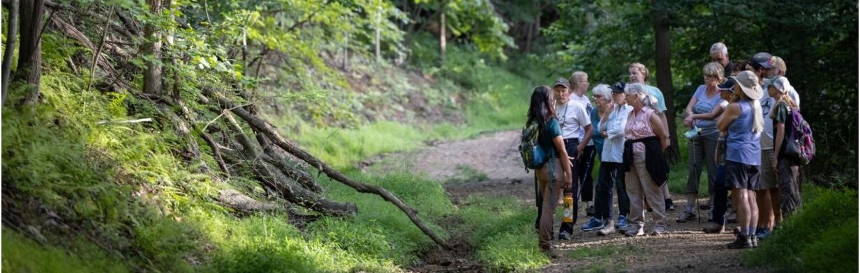 Latodami Trails Header.jpg