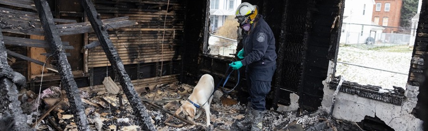 fire-marshal-header.jpg